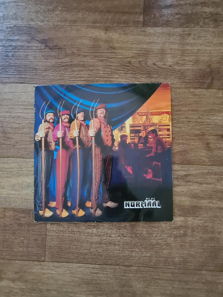 Normaal lp album, Ophalen of Verzenden, Overige formaten, Poprock