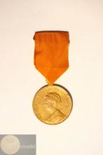 NL - Draagpenning 1923 - 25Jr. Regeringsjubileum Wilhelmina, Postzegels en Munten, Penningen en Medailles, Ophalen of Verzenden