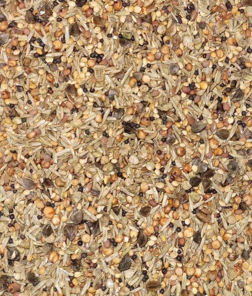 V123 Gezondheidszaad 'Wilde Zaden', Meerdere dieren, Wildzangvogel, Geringd