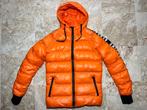 Heren echte donsjas donsjack, Ophalen of Verzenden, Nieuw, Maat 46 (S) of kleiner, Oranje