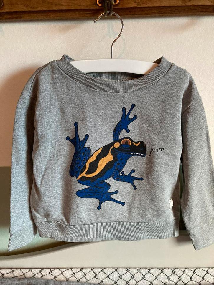 Sissy-boy grijze trui mt 98/104 met kikker, Kinderen en Baby's, Kinderkleding | Maat 98, Zo goed als nieuw, Jongen, Trui of Vest