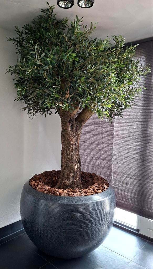 NIEUW grote kunst olijfboom 230cm inclusief kunststof pot, Ophalen, Nieuw