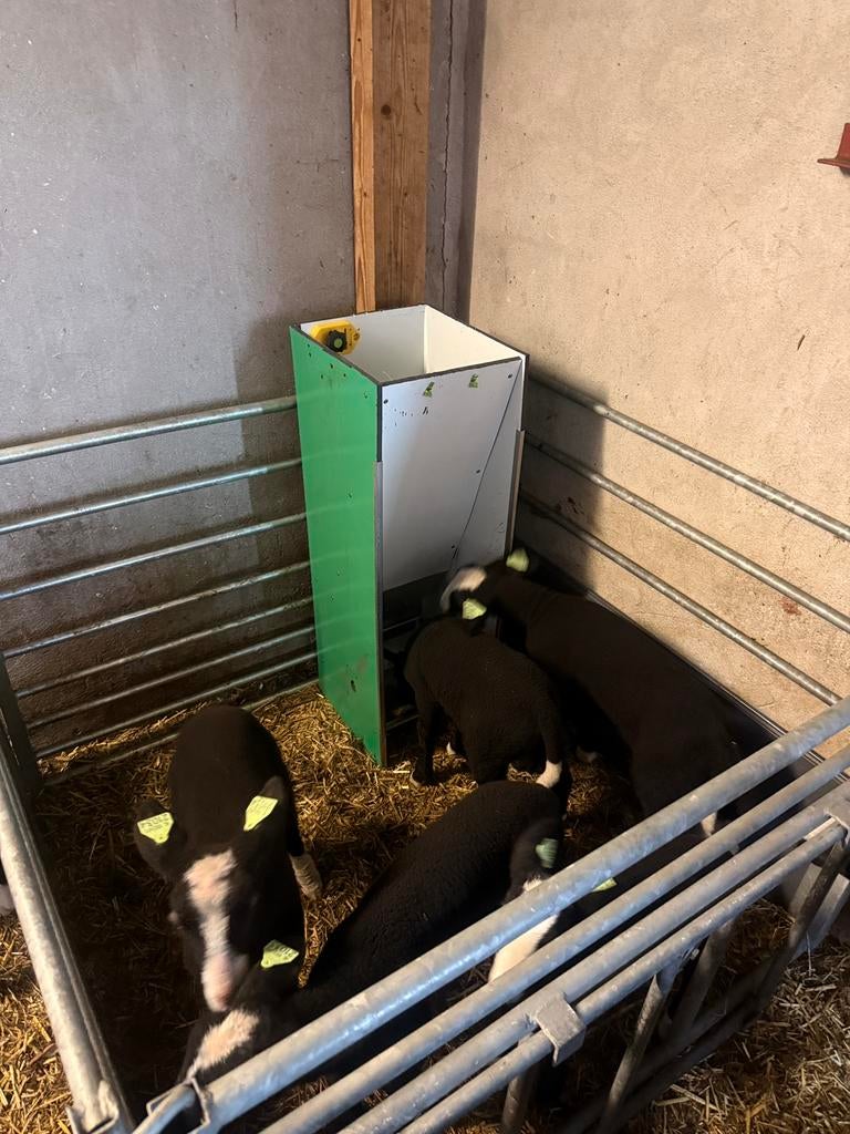 Droogvoerbak lammeren voerautomaat druppeldoseervoerbak, Dieren en Toebehoren, Meerdere dieren, Schaap