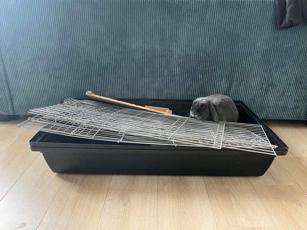 Konijnenhok, Dieren en Toebehoren, Knaagdieren en Konijnen | Hokken en Kooien, Ophalen, 110 cm of meer, Zo goed als nieuw, 90 cm of meer