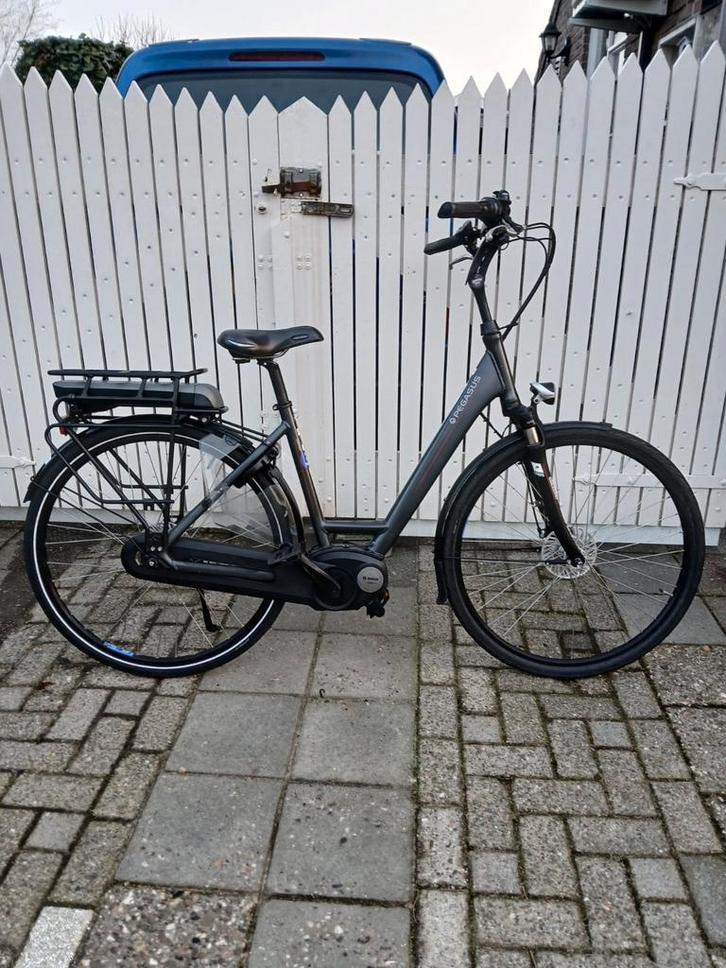 Pegasus Siena e7f Ebike in Nette Staat, Fietsen en Brommers, Elektrische fietsen, Zo goed als nieuw, Overige merken, 51 tot 55 cm