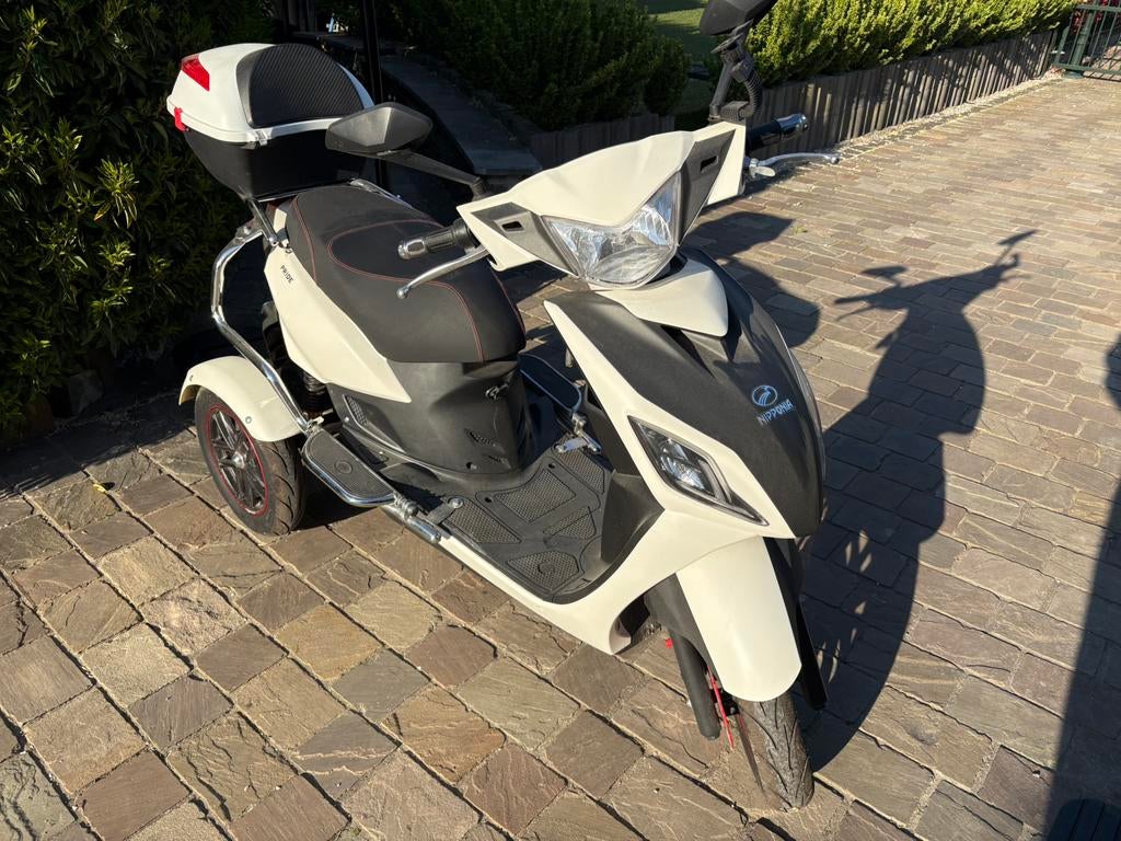 Nipponia scooter, Ophalen, Zo goed als nieuw, Overige merken