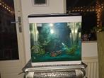 Vissen  Aquaria., Dieren en Toebehoren, Vissen | Aquaria en Toebehoren, Ophalen of Verzenden, Zo goed als nieuw, Leeg aquarium