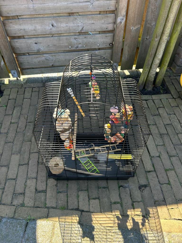 Vogelkooi, Ophalen, Zo goed als nieuw, Metaal, Vogelkooi