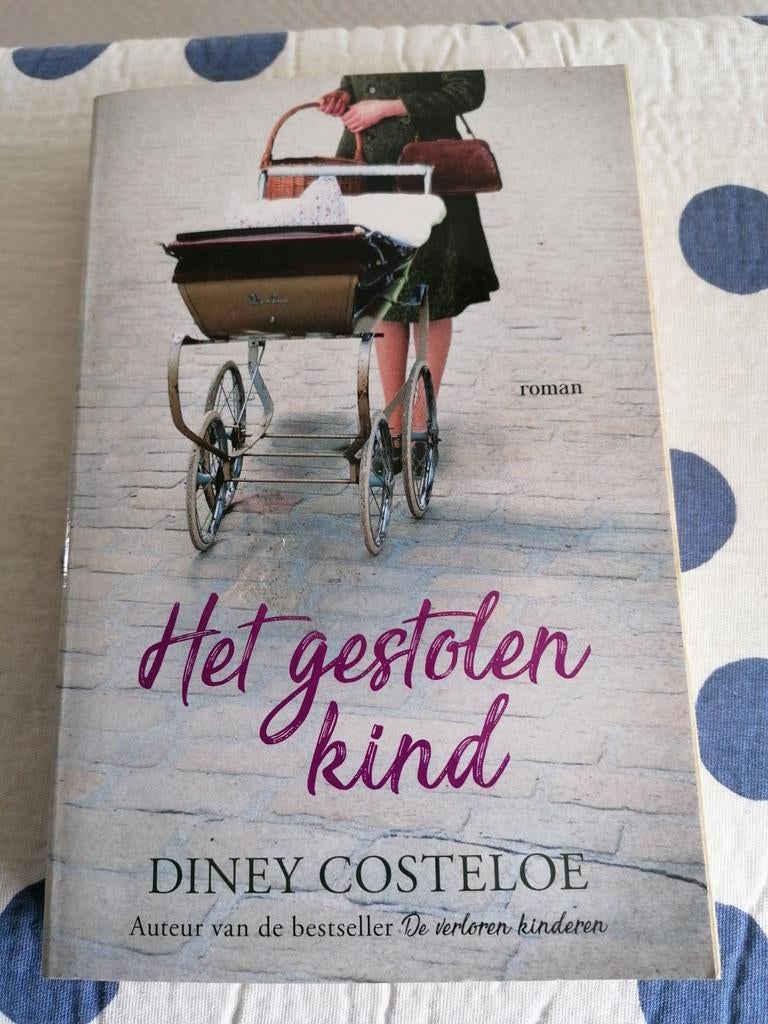 Het gestolen kind van Diney Costeloe, Boeken, Ophalen of Verzenden, Gelezen, Diney Costeloe