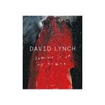 David Lynch - Someone is in my House, Ophalen of Verzenden, Nieuw