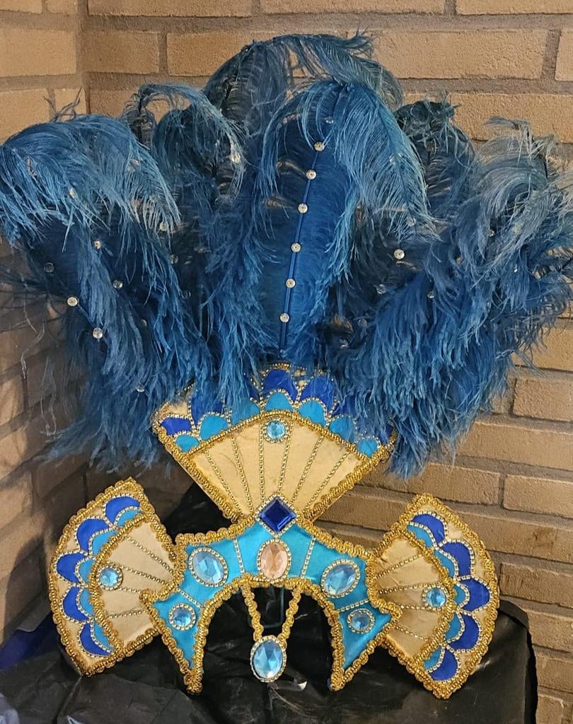 Blauwe Veren Hoofdtooi - Carnaval/Feest, Ophalen of Verzenden, Zo goed als nieuw, Accessoires