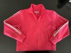 ZGAN Tommy Hilfiger zomerjas / trainingsjas / vest. 152, Meisje, Ophalen of Verzenden, Jas, Tommy Hilfiger