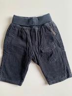 Broekje van MEXX maatje 50 / 56 nog NIEUW (F50), Kinderen en Baby's, Babykleding | Maat 50, Mexx, Broekje, Nieuw, Ophalen of Verzenden