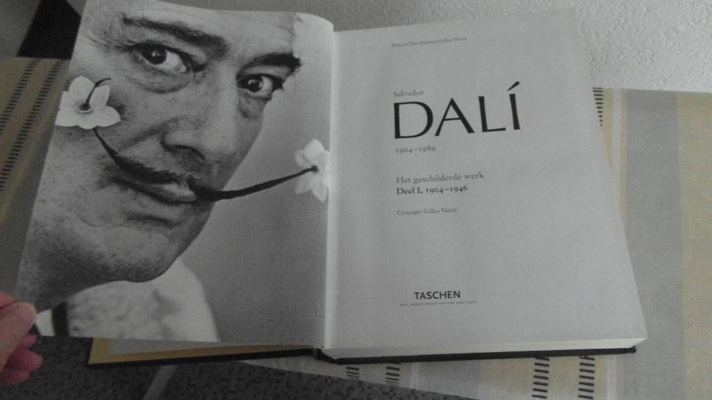Salvador DALÍ ; het geschilderde werk ; groot dik boek, Boeken, Kunst en Cultuur | Beeldend, Ophalen of Verzenden, Zo goed als nieuw