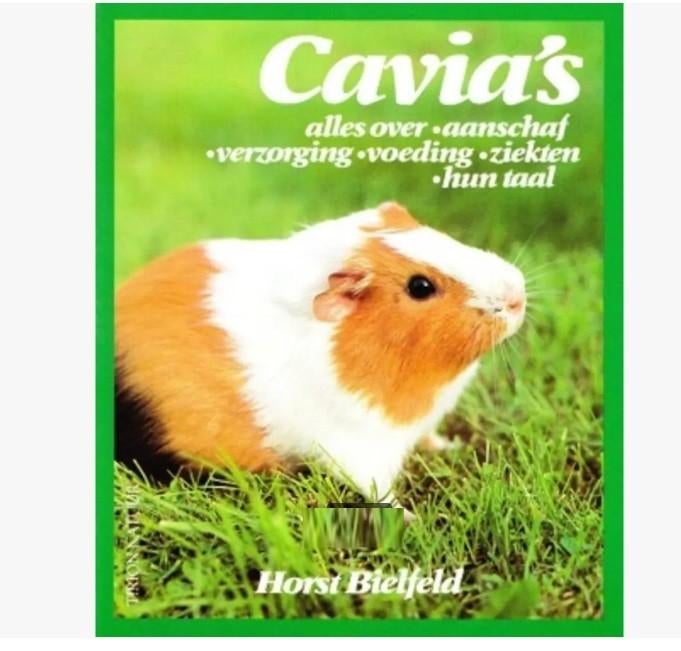 boeken dieren cavia's, panda, honden pen, Katten krabplank,, Boeken, Ophalen of Verzenden, Overige diersoorten