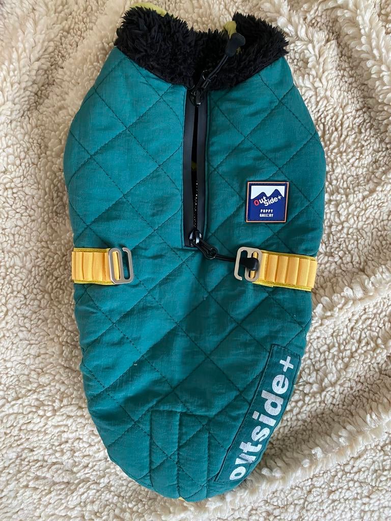 Korean Brand Puppygallery Dog Jacket and Hat - Green, Dieren en Toebehoren, Hondenkleding, Ophalen of Verzenden, Zo goed als nieuw