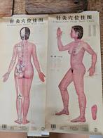 Vintage Acupunctuur Wandkaarten (3 stuks), Boeken, Encyclopedieën, Medisch, Complete serie, Ophalen of Verzenden, Onbekend
