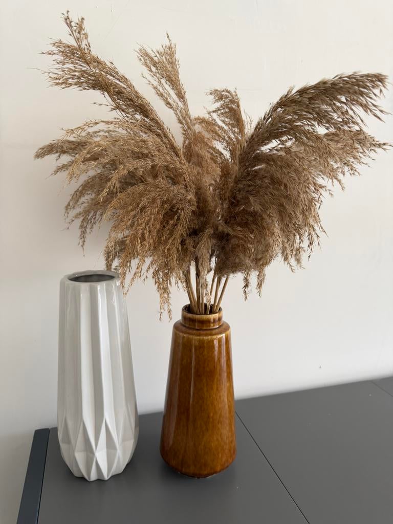 Vaas met pluimgras pluim takken japandi, Ophalen, Zo goed als nieuw, 50 tot 75 cm