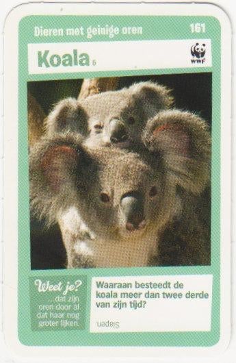 Super dieren no.161 Koala [2771]  [VeOvSu], Albert Heijn, Ophalen of Verzenden