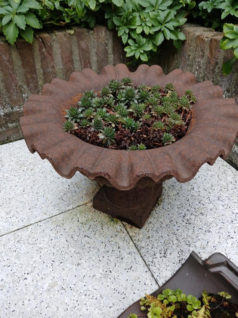 Grote gietijzeren tuinvaas met vetplantjes., Tuin en Terras, Tuinvazen, Ophalen, Zo goed als nieuw