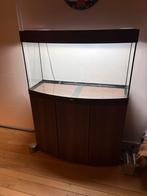 Juwel vision 180 notenhout in prima staat, Ophalen, Zo goed als nieuw, Leeg aquarium