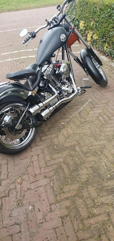 Harley davidson high neck eigenbouw, Particulier, Chopper