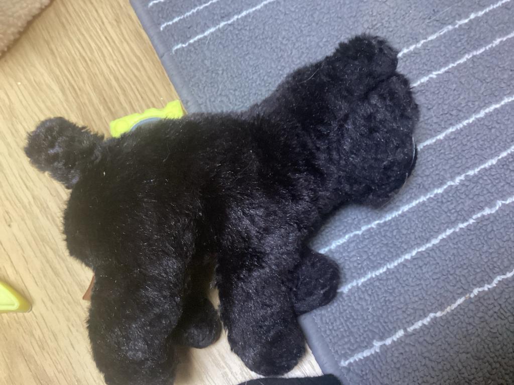 Gratis knuffels en speelgoed, Kinderen en Baby's, Speelgoed | Knuffels en Pluche, Ophalen, Gebruikt, Zwart, Hond