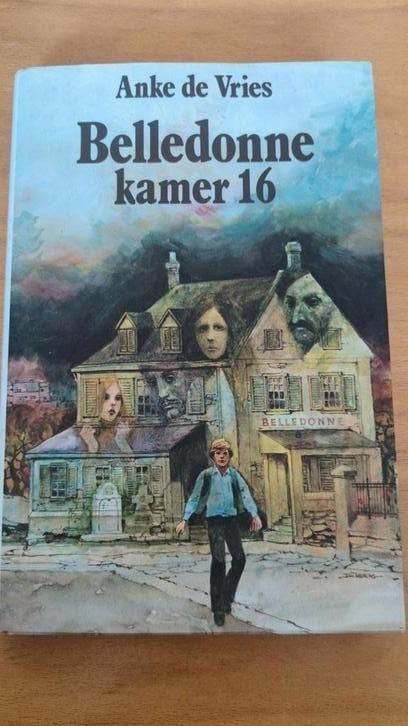 Belledonne kamer 16 - Anke de Vries, Ophalen of Verzenden, Zo goed als nieuw, Anke de Vries, Nederland