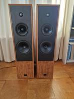 Epos ES25 Vloerstaande Luidsprekers, Gebruikt, 120 watt of meer, Front, Rear of Stereo speakers, Ophalen