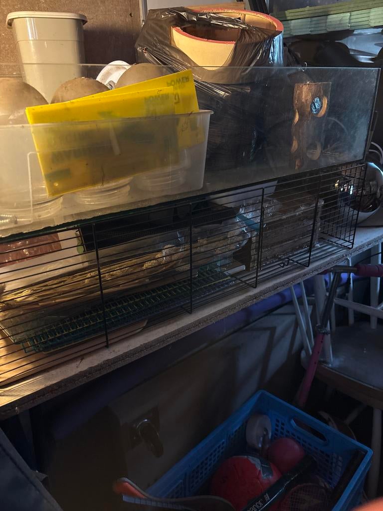 Hamsterkooi en toebehoren, Dieren en Toebehoren, Ophalen, Gebruikt