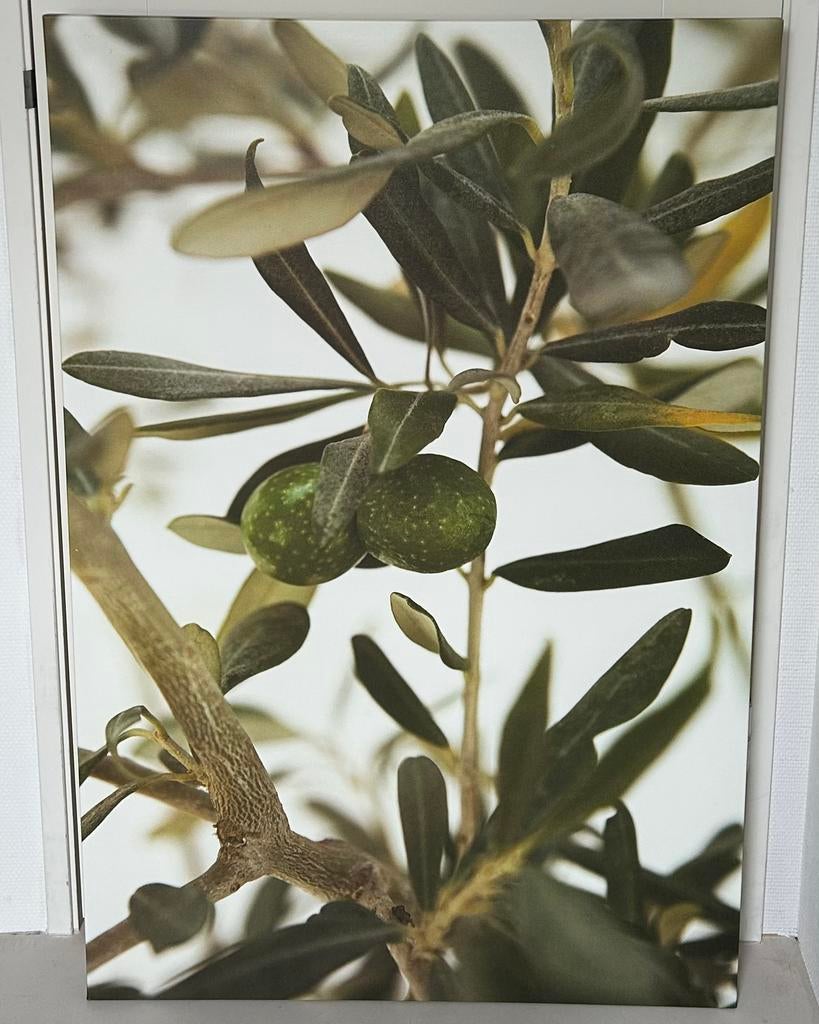 Ikea Pjatteryd Canvas Olijf 78x118cm in zeer goede staat, Huis en Inrichting, Woonaccessoires | Schilderijen, Tekeningen en Foto's