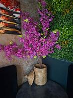 Kunstplant Bougainvillea in rieten mand, Ophalen of Verzenden, Zo goed als nieuw, Binnen