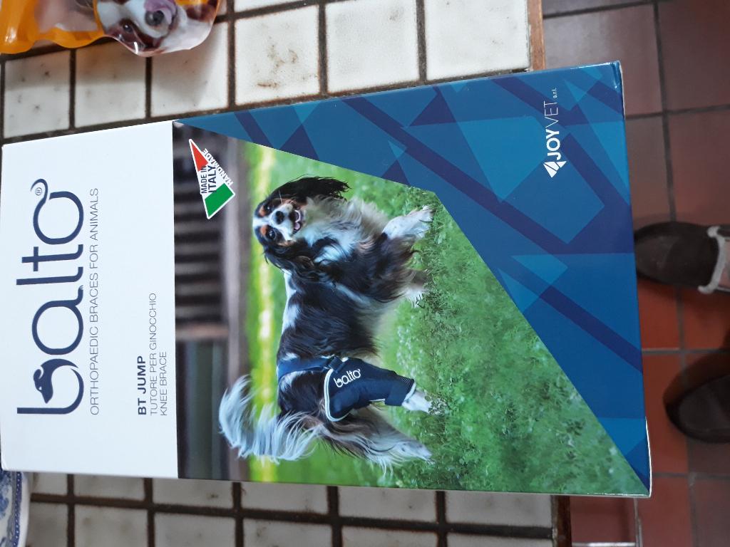 Knie braze rechts voor klein hondje, Dieren en Toebehoren, Ophalen, Nieuw, Overige