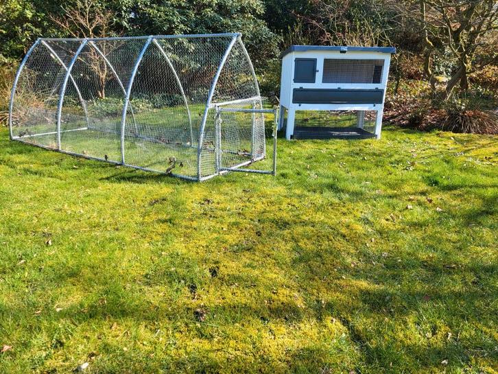 Konijnenhok inclusief buitenren  alles in 1, Dieren en Toebehoren, Knaagdieren en Konijnen | Hokken en Kooien, Zo goed als nieuw