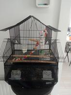 Schattige parkiet  de kooi en accessoires, Dieren en Toebehoren, Vogels | Hokken en Kooien, Ophalen of Verzenden, Zo goed als nieuw