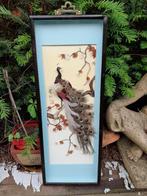 Schilderij/compositie van Olieverf en Veren "De Pauw", Ophalen of Verzenden