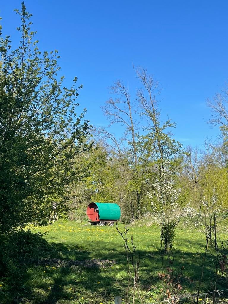 Pipowagen te koop!, Ophalen, Gebruikt