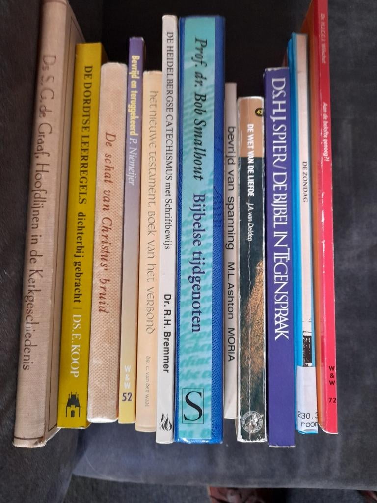 Theologieboeken, Boeken, Godsdienst en Theologie, Ophalen of Verzenden, Gelezen, Diverse auteurs