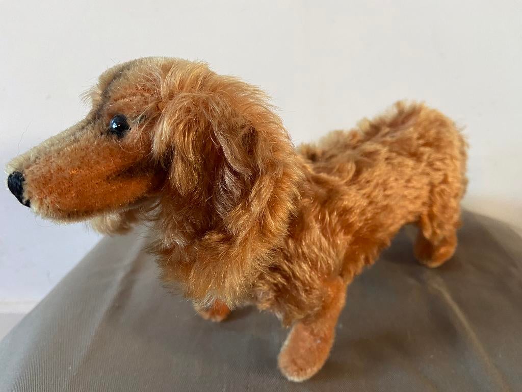 Steiff langharige teckel Waldi, 4140/17, 17cm, Ophalen of Verzenden