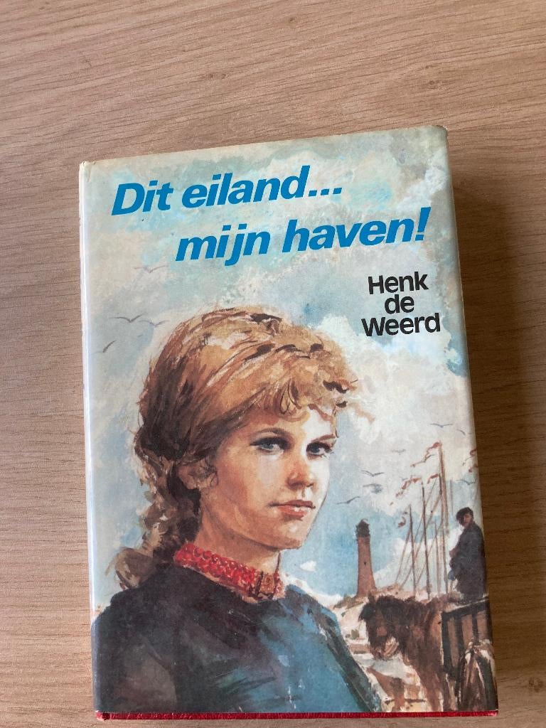 Boek Henk de Weerd streekroman, Boeken, Ophalen of Verzenden, Gelezen, Noord-Brabant