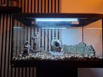 Aqaurium 60 bij 30, Ophalen, Zo goed als nieuw, Leeg aquarium