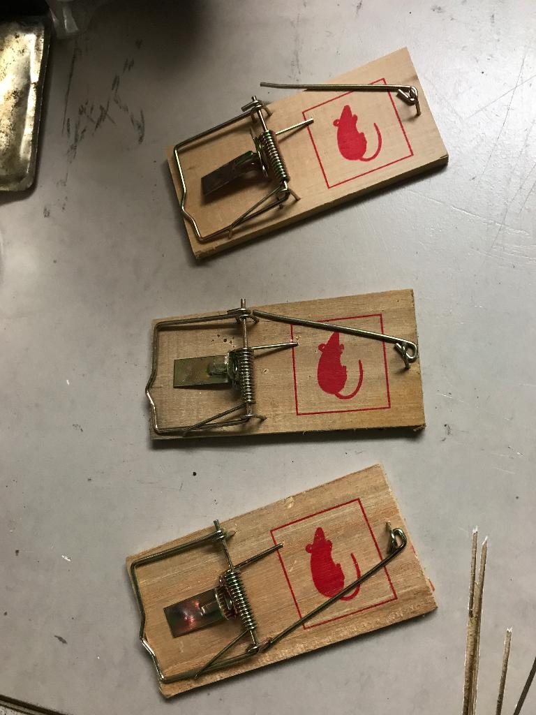 muizen klem, Ophalen of Verzenden, Nieuw