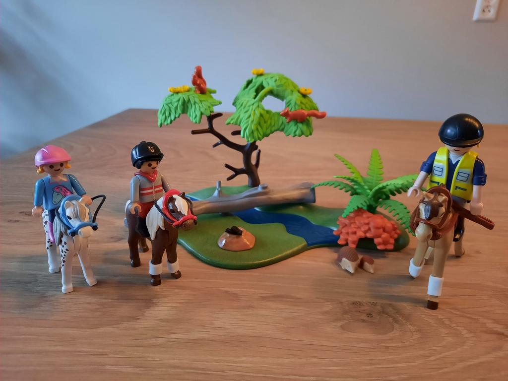 Playmobil Pony Rijden 6947 5685, Kinderen en Baby's, Speelgoed | Playmobil, Ophalen of Verzenden, Zo goed als nieuw