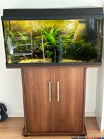 Complete Juwel Rekord 110L Aquarium + kast - Eigen foto’s, Dieren en Toebehoren, Zo goed als nieuw, Ophalen, Leeg aquarium