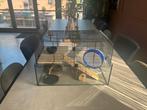 Hamsterkooi met toebehoren – compleet pakket, Gebruikt, Minder dan 75 cm, Ophalen, Minder dan 60 cm