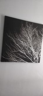 Canvas schilderij, Ophalen of Verzenden