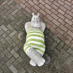 XXL Papier Maché Nijlpaard - Zonnebadend!, Ophalen, Zo goed als nieuw, Rond