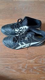 Korfbal schoenen maat 48, Ophalen, Zo goed als nieuw, Schoenen