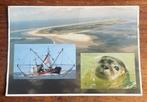 Schiermonnikoog Waddenzee, Ophalen of Verzenden, 1980 tot heden, Gelopen, Waddeneilanden