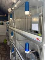 kweekkooien van Keulem, Dieren en Toebehoren, Vogels | Hokken en Kooien, Ophalen, Gebruikt, Kunststof, Broedkooi of Kweekkooi